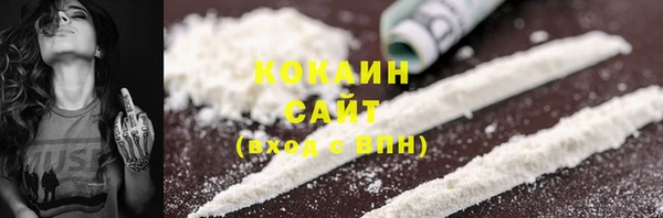 стафф Арсеньев