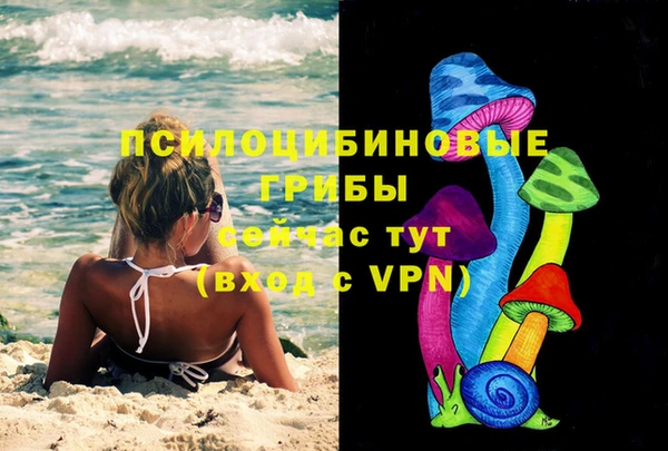 мяу мяу мука Армянск