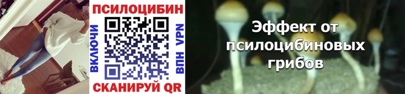 Псилоцибиновые грибы Psilocybine cubensis  Купить где  Бирюсинск 